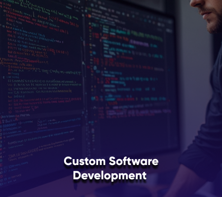 Custom Software Development 